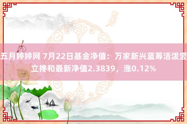 五月婷婷网 7月22日基金净值：万家新兴蓝筹活泼竖立搀和最新净值2.3839，涨0.12%