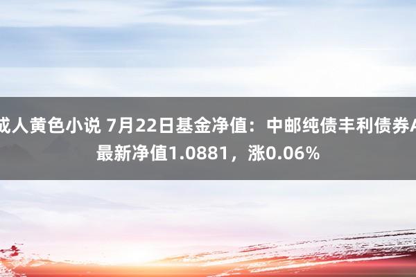 成人黄色小说 7月22日基金净值：中邮纯债丰利债券A最新净值1.0881，涨0.06%