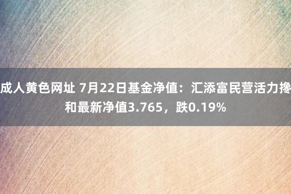 成人黄色网址 7月22日基金净值：汇添富民营活力搀和最新净值3.765，跌0.19%