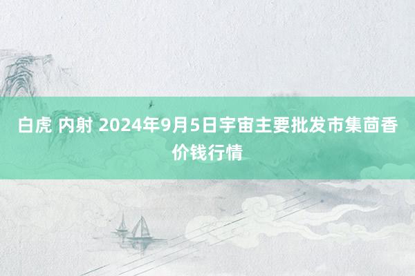 白虎 内射 2024年9月5日宇宙主要批发市集茴香价钱行情