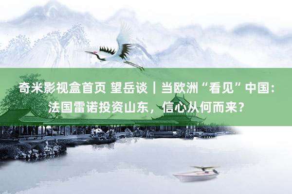 奇米影视盒首页 望岳谈｜当欧洲“看见”中国：法国雷诺投资山东，信心从何而来？