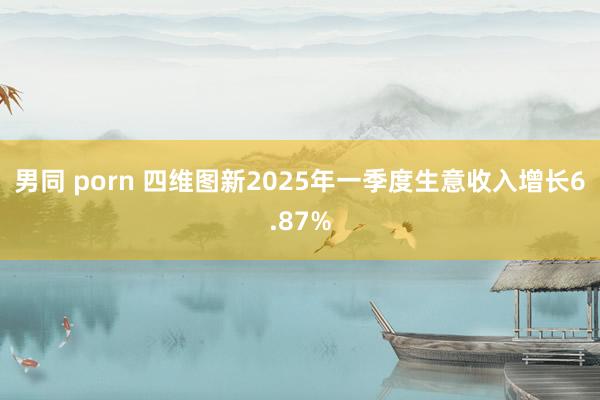 男同 porn 四维图新2025年一季度生意收入增长6.87%