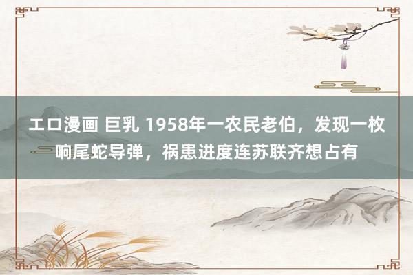 エロ漫画 巨乳 1958年一农民老伯，发现一枚响尾蛇导弹，祸患进度连苏联齐想占有
