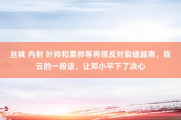 丝袜 内射 叶帅和粟帅等将领反对裂缝越南，陈云的一段话，让邓小平下了决心