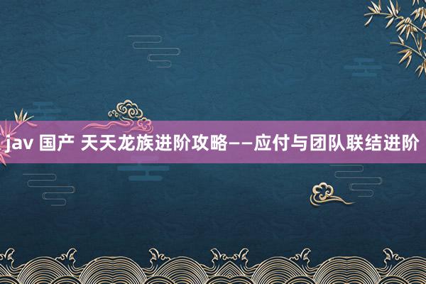 jav 国产 天天龙族进阶攻略——应付与团队联结进阶