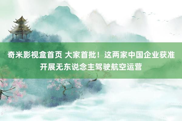 奇米影视盒首页 大家首批！这两家中国企业获准开展无东说念主驾驶航空运营